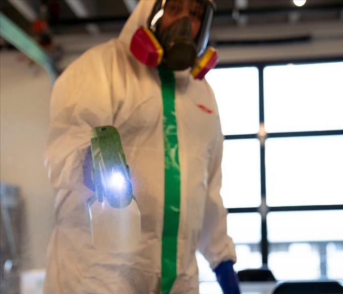 Employee using a Thermal Fogger