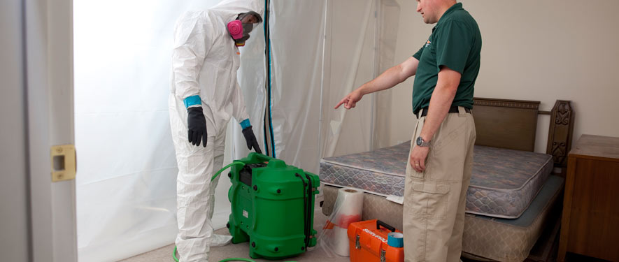 Danvers, MA mold removal process
